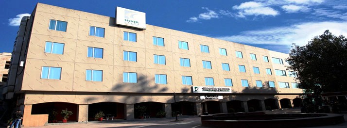 Silver Ferns - New Delhi 01.jpg